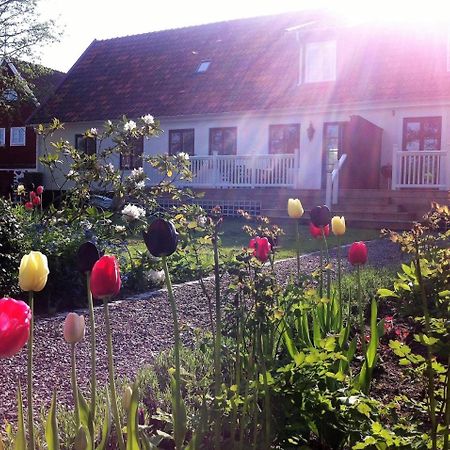 Svanebaecks Gard Villa Viken  Kültér fotó